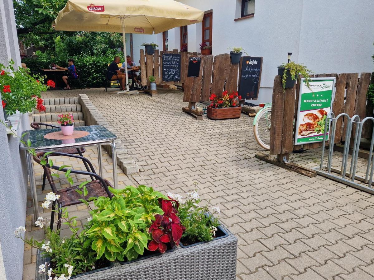 Agropenzion 7Divov Dolna Krupa エクステリア 写真